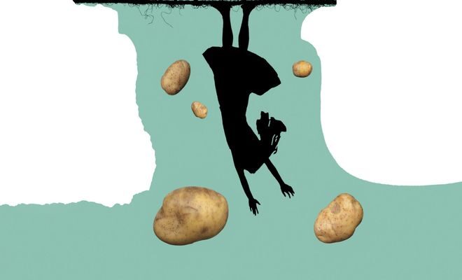 OBR: Zvláštní příběh rodiny F.