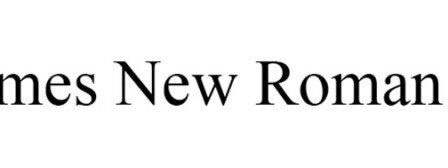 Times New Roman