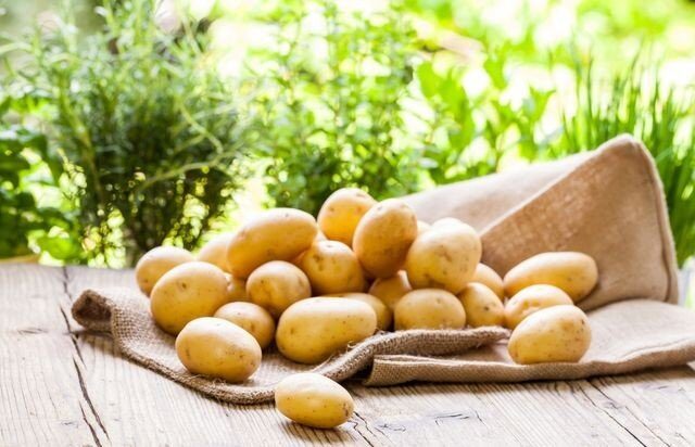 brambory-hromada-dieta