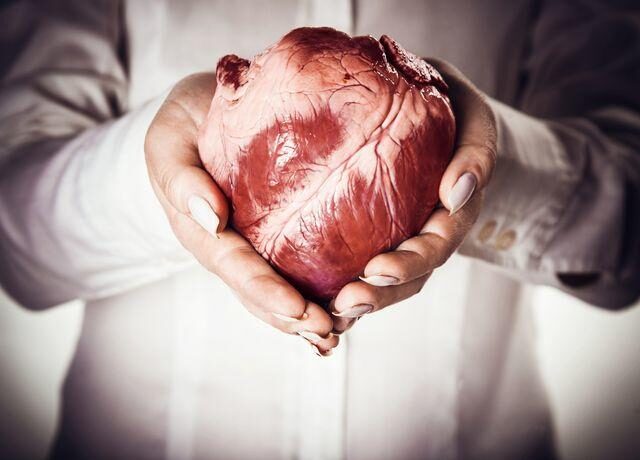 Transplantace orgánů, srdce