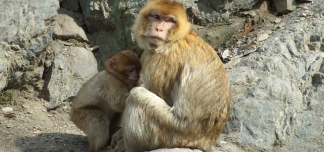 FOTO: Ilustrační foto