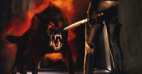 Ilustrace na obálce Autor: Dorothea Bylica