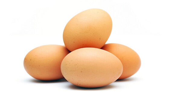 Složení vejce