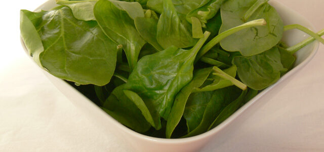 Foto: Petra Prokopová, Topzine.cz