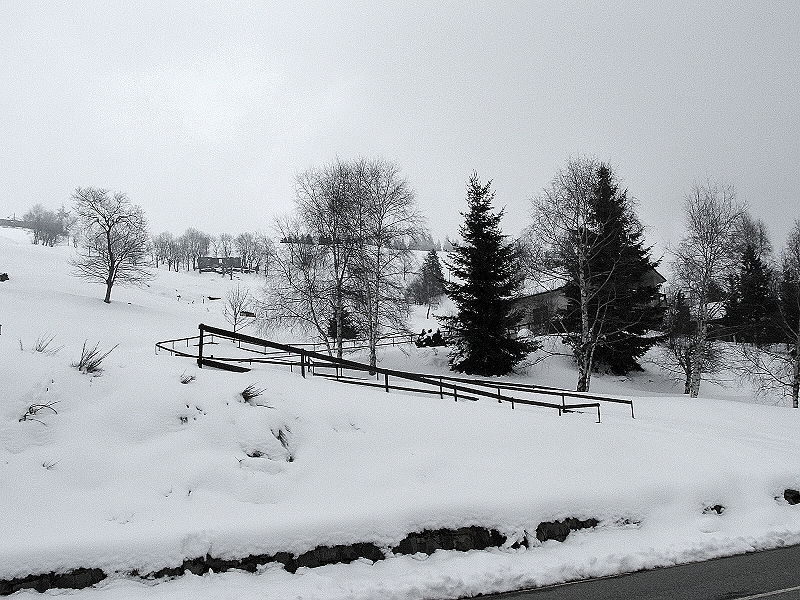 FOTO: Zasněžená krajina