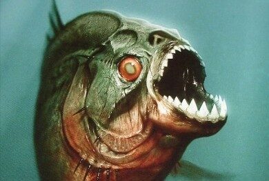 Piranha 3D sežere i vaše děti