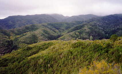 FOTO: Parque nacional de Garajonay
