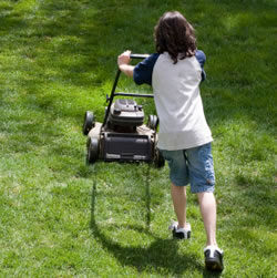 FOTO: Zahradnické práce