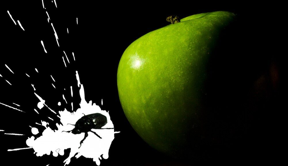 KOLÁŽ: Přeměna