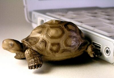 FOTO: Flash disk ve formě želvičky